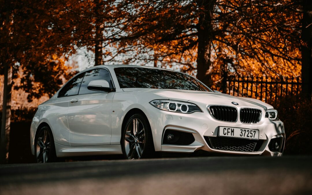 BMW AdBlue Removal