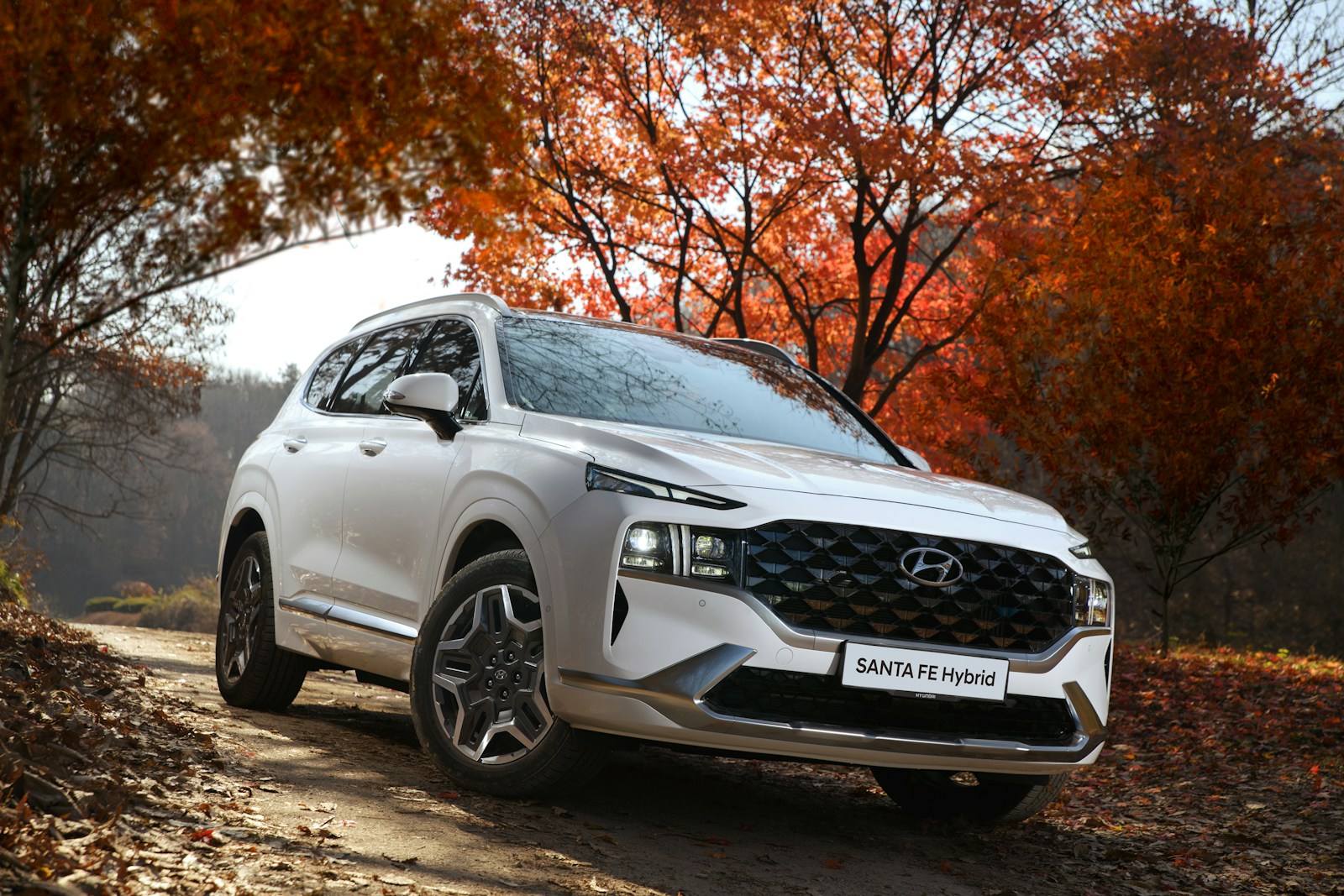 Photo by Hyundai Motor Group a white suv driving down a dirt road