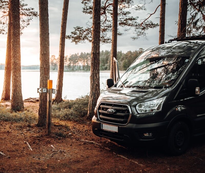 Transit Custom 2.0 EcoBlue Stage 1 Remap: Gains and Limits