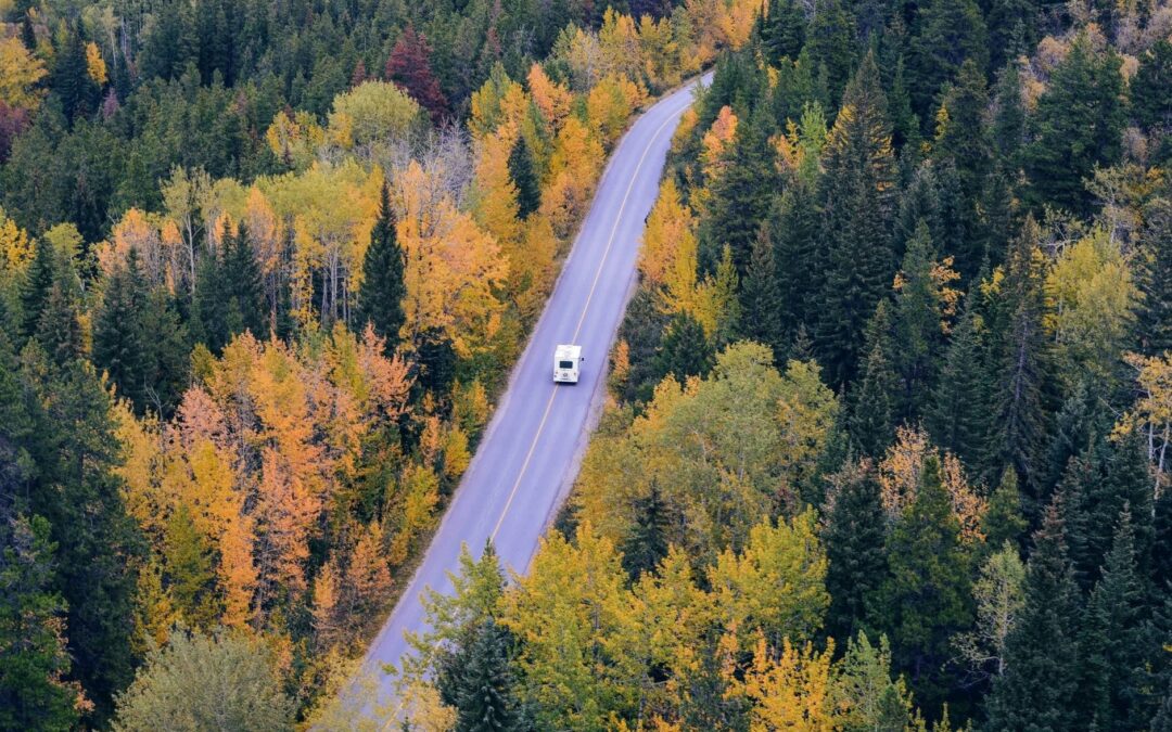 Motorhome Remapping: What Ducato, Transit and Sprinter Owners Should Know